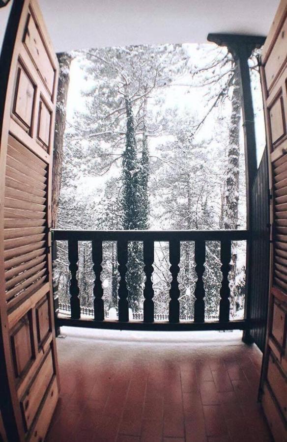 Milionis Forest Hotel 그레베나 외부 사진